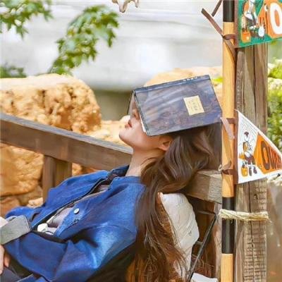 胡杨女人 海报