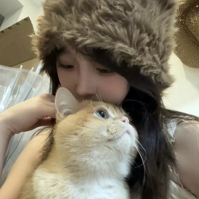 喵不可言 海报